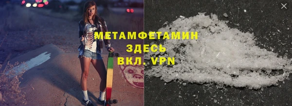 шишки Белокуриха